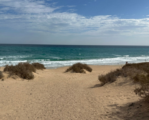 Fuerteventura beach and landscape